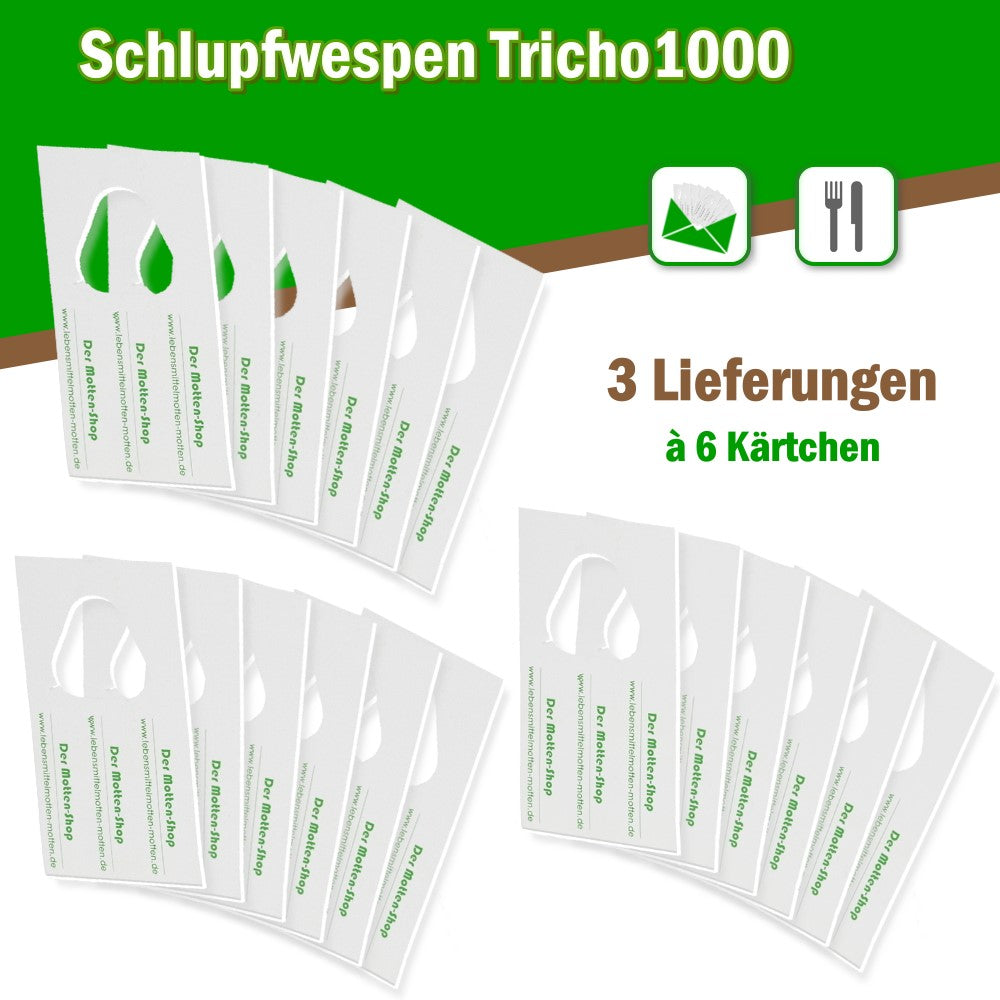 7 Karten Schlupfwespen gegen Lebensmittelmotten