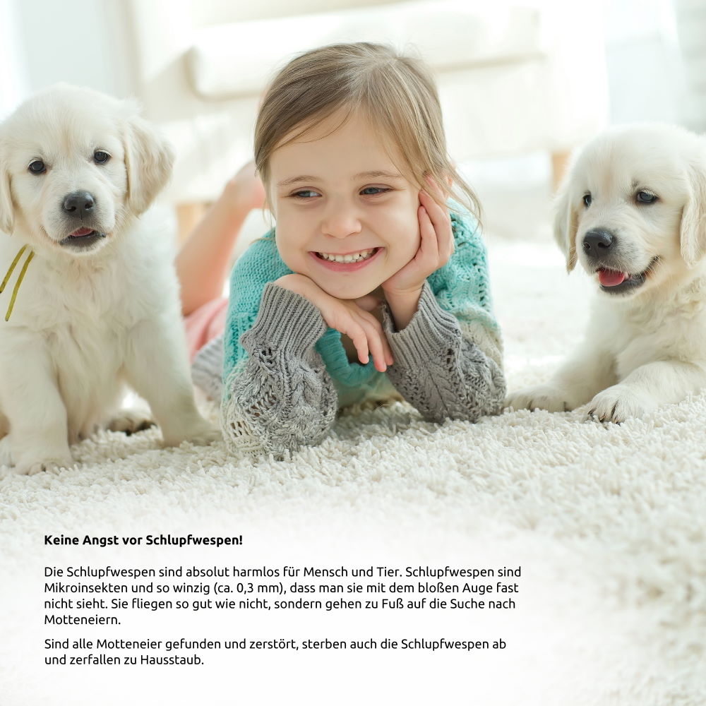 10 Karten Schlupfwespen gegen Lebensmittelmotten