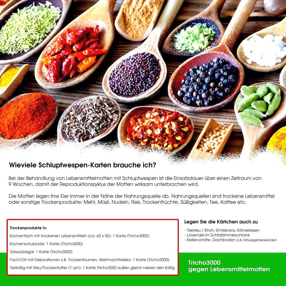 10 Karten Schlupfwespen gegen Lebensmittelmotten