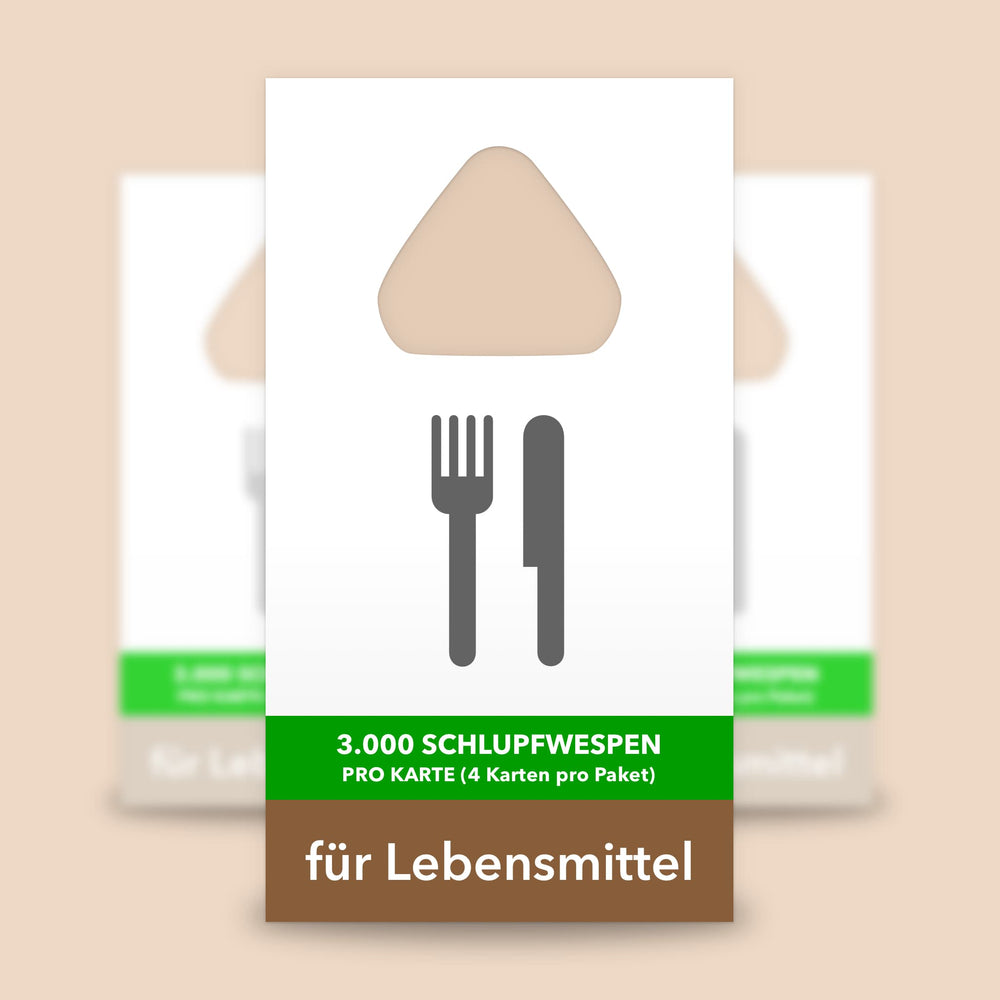 4 Karten Schlupfwespen gegen Lebensmittelmotten
